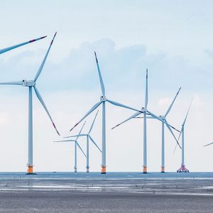 Pellentesque habitant morbi tristique 10 img3